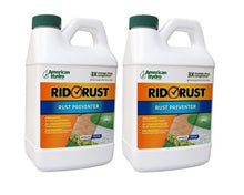 Load image into Gallery viewer, American Hydro Systems (RR1 - 1 - CS) Rid O Rust - Rust Preventer - Isopure Water - (2) x RR1 - 1 - CS