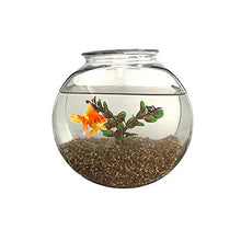 Load image into Gallery viewer, Filter - Softener 15 Pound Box Replacement Filter Tank Gravel - Isopure Water - 15 lbs Gravel