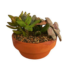 Load image into Gallery viewer, Filter - Softener 15 Pound Box Replacement Filter Tank Gravel - Isopure Water - 15 lbs Gravel