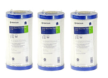 Load image into Gallery viewer, Pentek - EP - BB - 10" x 4.5" Carbon - Briquette 5 Micron Filter - Isopure Water - (3) 155548 - 43