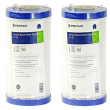 Load image into Gallery viewer, Pentek - EP - BB - 10" x 4.5" Carbon - Briquette 5 Micron Filter - Isopure Water - (2) 155548 - 43