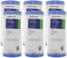 Load image into Gallery viewer, Pentek - R Series 10" x 4.5" Big Blue REUSABLE Pleated Polyester Sediment Filter - Isopure Water - (6) 155101 - 43