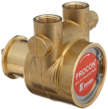 Load image into Gallery viewer, Procon - Rotary Vane Series 4 - Brass Pumps - Clamp On - 1/2" NPT - Isopure Water - 104B140F31BA200