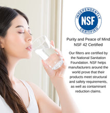 Load image into Gallery viewer, PureT - UDF - 10W - 10" x 2.5" GAC Carbon Filter - NSF Certified - Reverse Osmosis Water Filter - Isopure Water - UDF - 10W