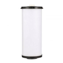 Load image into Gallery viewer, Watts - OFPCOM - Cartridge Combo Pack, 1 Radial Flow Cartridge and 1 TAC Cartridge for OneFlow Plus System - Isopure Water - OFPCOM