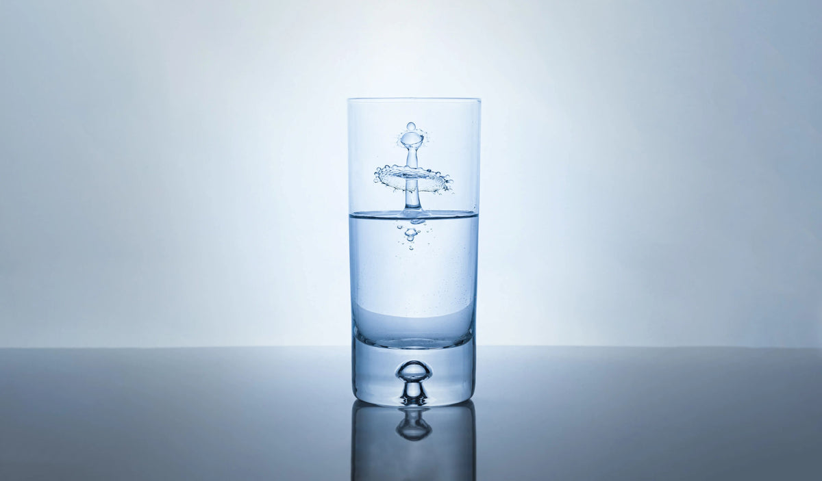 How To Use a Sediment Trap for Cleaner Water | Isopure Water