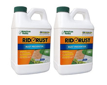 Load image into Gallery viewer, American Hydro Systems (RR1-1-CS) Rid O Rust - Rust Preventer
