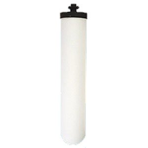 Doulton-(W9121709) Super Sterasyl Candle 10” with ¼” Threaded End (L) GAC Core for Gravity Filters
