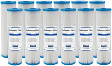Load image into Gallery viewer, IPW Industries Inc. Compatible for S1A Whole House Standard Water Filter - Pack of 12 - Isopure Water - 12x sc - 10pt - 20
