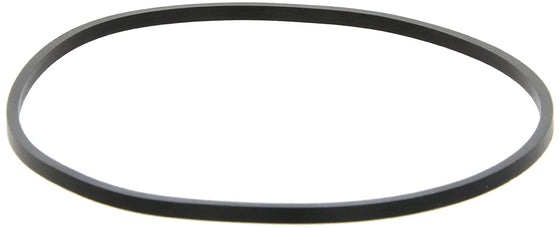 Pentek-(151254)-Big-White--Big-Clear-Filter-Housing-O-Rings---Square-Cut,Isopure-Water,12