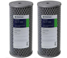 Load image into Gallery viewer, Pentek - NCP - BB - 10&quot; x 4.5&quot; Big Blue Pleated Carbon - Impregnated Polyproplyene Filter - Isopure Water - (2) 155398 - 43
