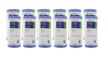 Load image into Gallery viewer, Pentek - R Series 10&quot; x 4.5&quot; Big Blue REUSABLE Pleated Polyester Sediment Filter - Isopure Water - (12) 155101 - 43
