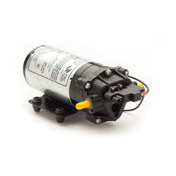 Pumps & Motors
