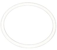 PureT-(SSMH-40-LO)-O-Ring-for-4-SSMH-End-Cap;-Silicon-O-Ring,Isopure-Water,12