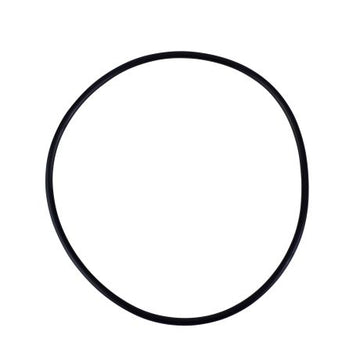 Watts-S7966-1 O-Ring, Round, Fits 10" And 20" Full Flow Filter Housings